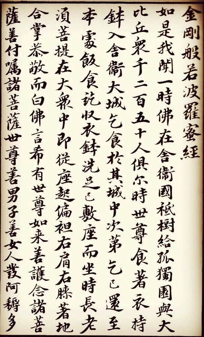 著名诗人苏轼行楷书法金刚经，这样的字，好让人羡慕-好字无忧